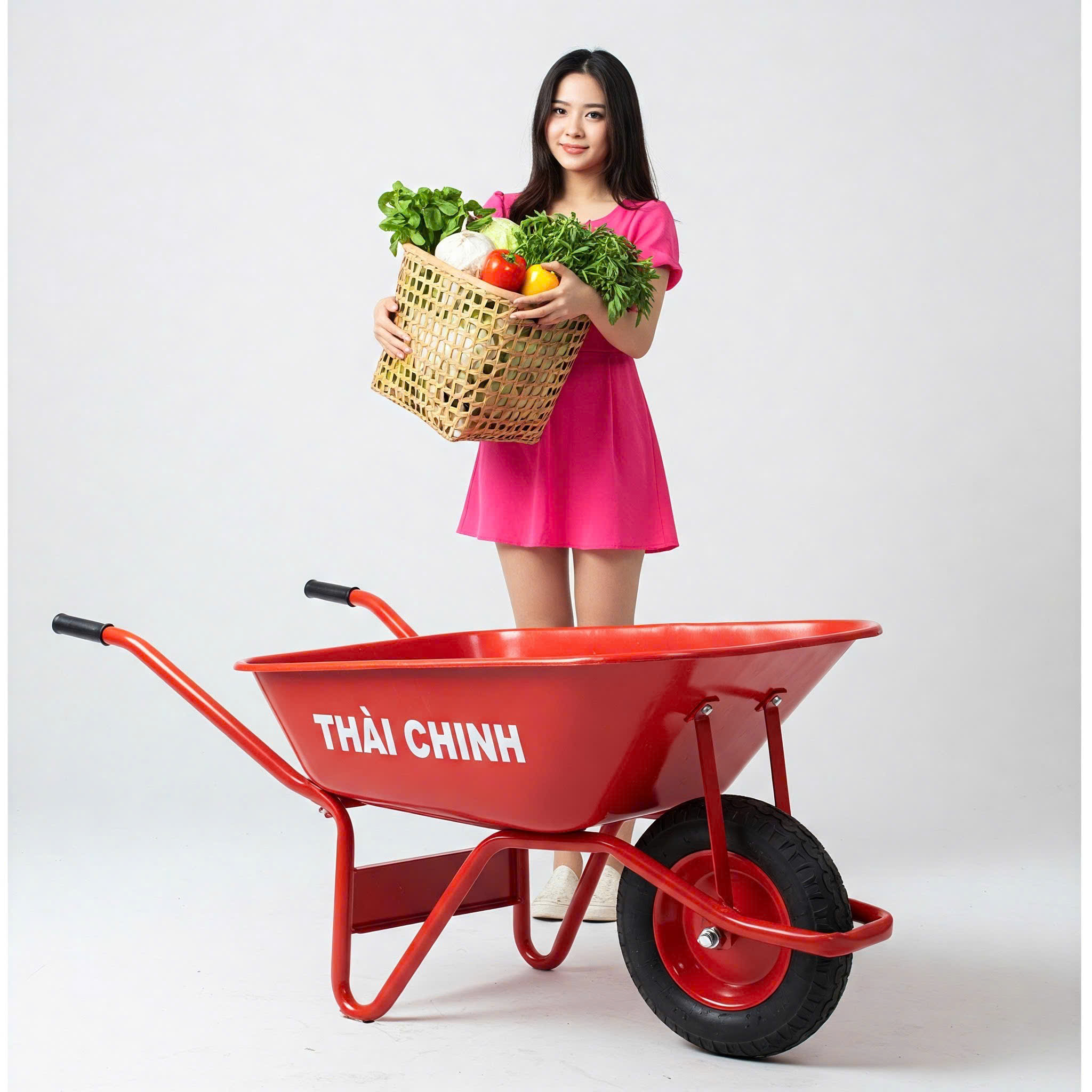 xe rùa cho thuê