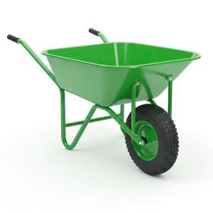 xe rùa giá rẻ
