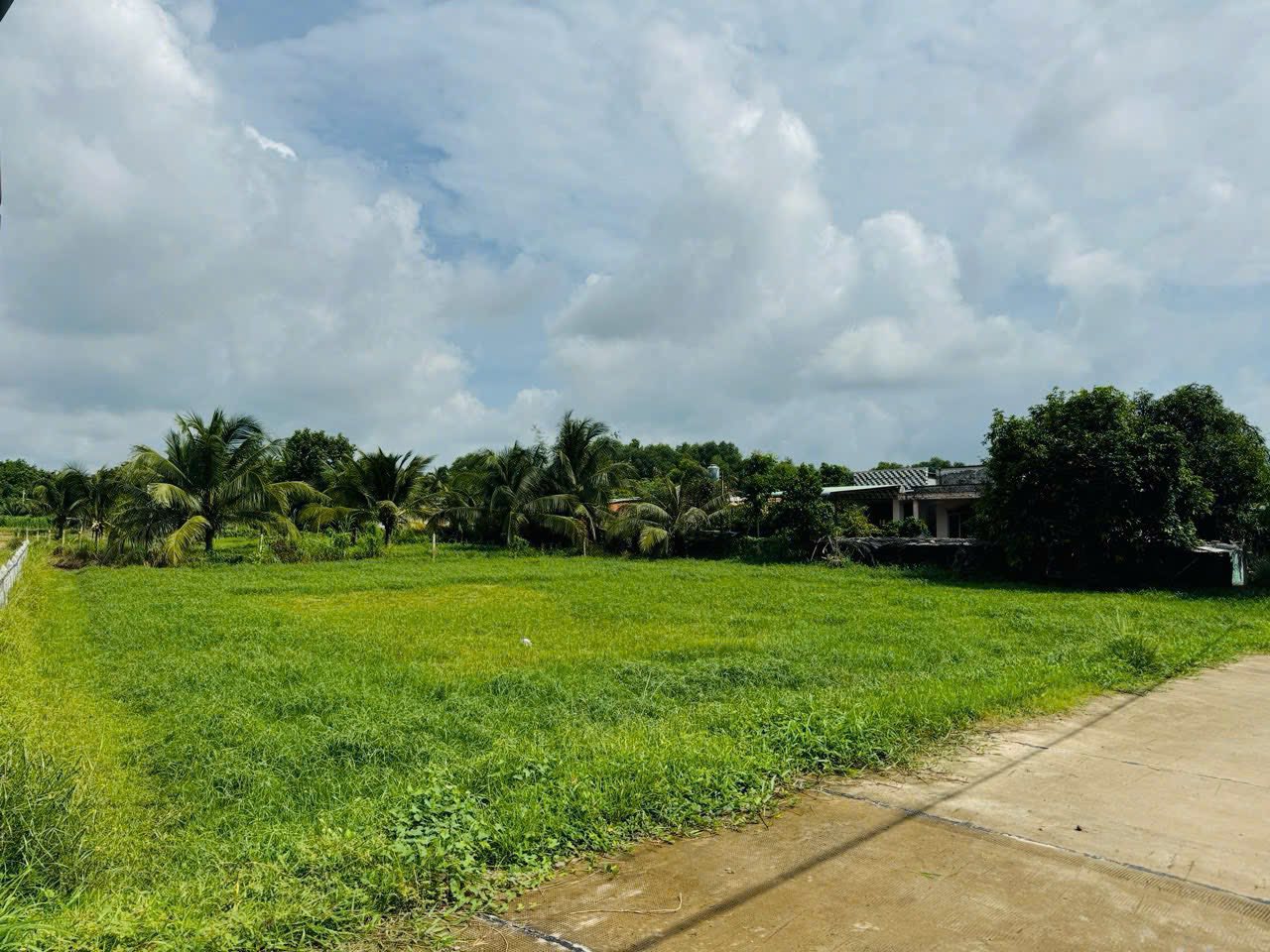 Đất  xã Phước Thạnh Củ Chi 32×35 300m2 thổ 6ty2
